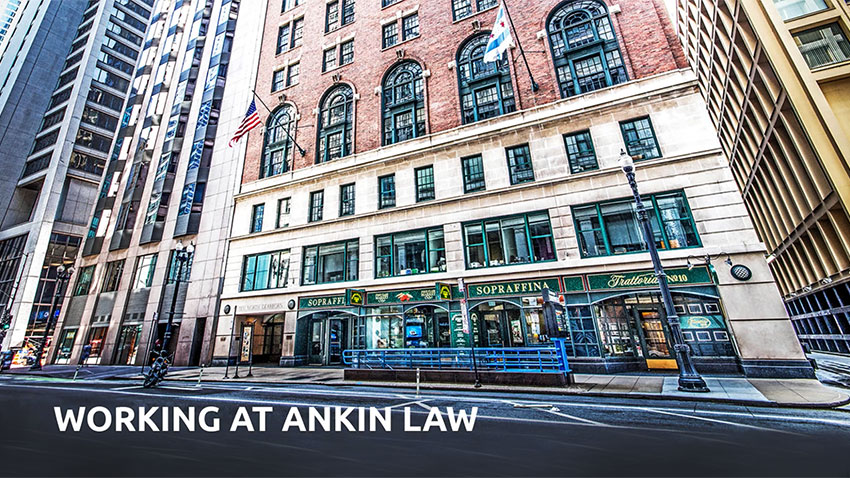 Working at Ankin Law